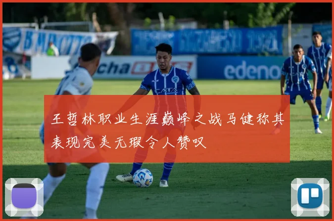 王哲林职业生涯巅峰之战马健称其表现完美无瑕令人赞叹